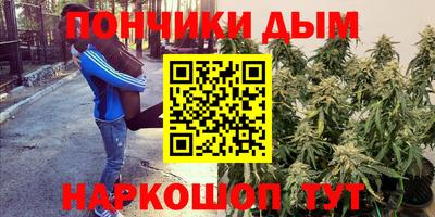 молекула духа Усть-Джегута