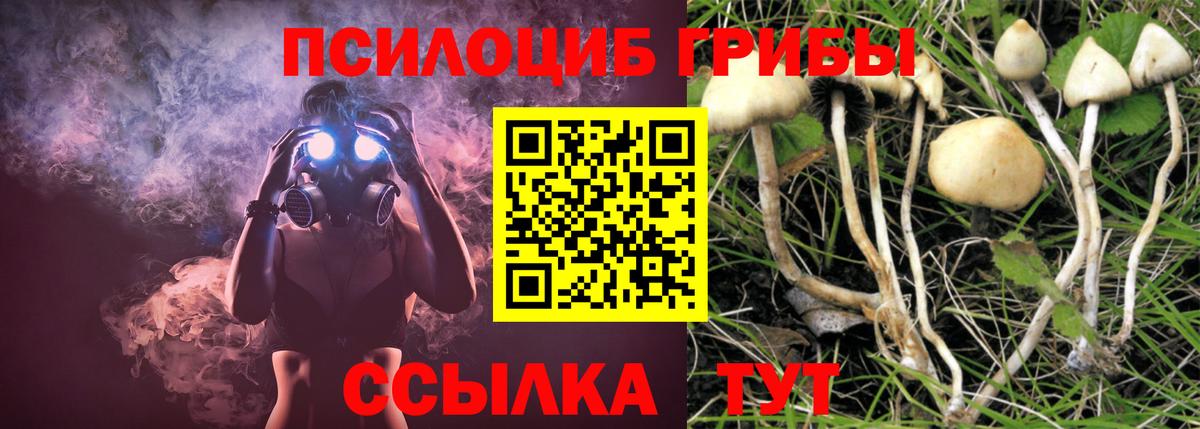 Псилоцибиновые грибы GOLDEN TEACHER Мичуринск