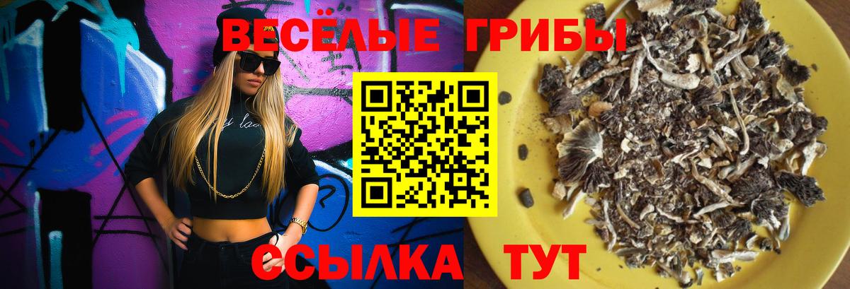 Мичуринск  Псилоцибиновые грибы мицелий  Вход с VPN 